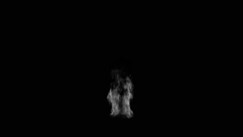 Flame Particles Swirling on the black background Stock Footage 149983729