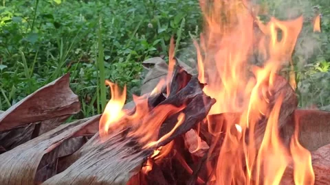 Flame patterns in the fire Stock Footage 145128808