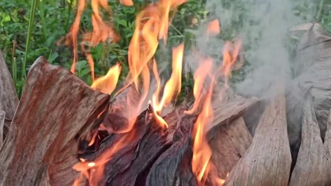 Flame patterns in the fire Stock Footage 145128811