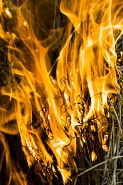 Flame Stock Photos