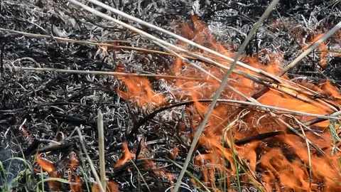 Flame in rush Video stock 102036153