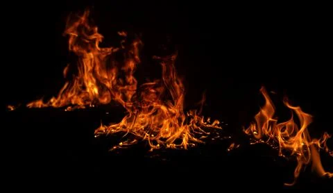 Flame shines brightly. Flame creates fire texture. Flame glows on black. Fl.. Stock Photos
