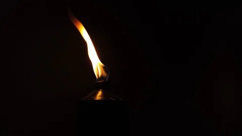 Flame of the Torch being blown by the wind in the dark. 
The torches withstand Stock Footage 120040975