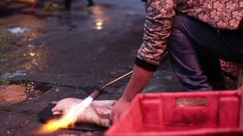 Flame Torch roasting Pork Hands, Chinese Market, 1080p 50fps Stock Footage 108149677