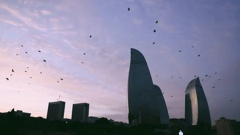 Flame Towers Video stock 104282195