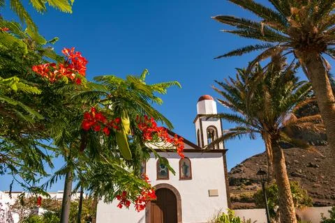 Flame Tree In The Garden Of The Chuch Stock Photos