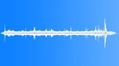 Flamed Bowerbird Low BuzzLike Sound Effect