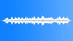 Flamed Bowerbird Low BuzzLike Sound Effect