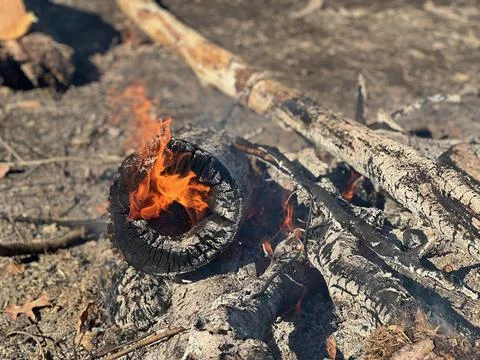 FlameInLog Stock Photos