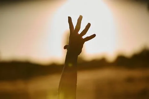 Flamenco dancer hands silhouette in shadow Stock Photos