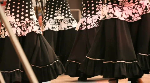 Flamenco Stock Footage 825776