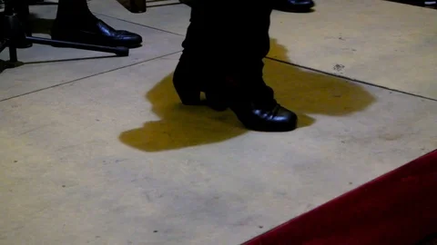 Flamenco Video stock 93039380