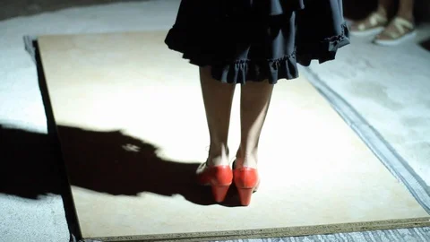 Flamenco Stock Footage 124165068