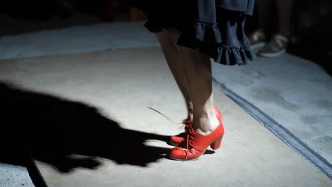 Flamenco Stock Footage 124171962
