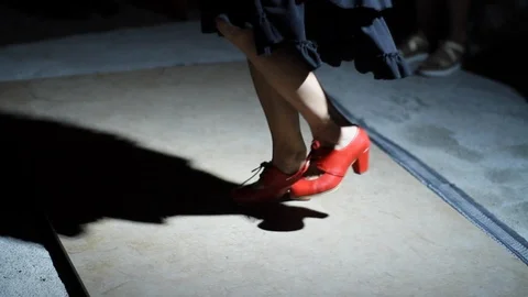 Flamenco Stock Footage 124341513