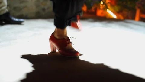 Flamenco Stock Footage 124341600