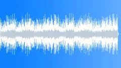 Flamenco King (acoustic mix) Stock Music