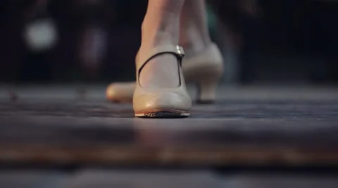 Flamenco puro Stock Footage 40081727