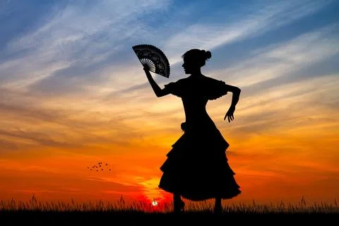 Flamenco at sunset Stock Illustration