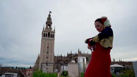 Flamenco is wonderful Stock Footage 297021070