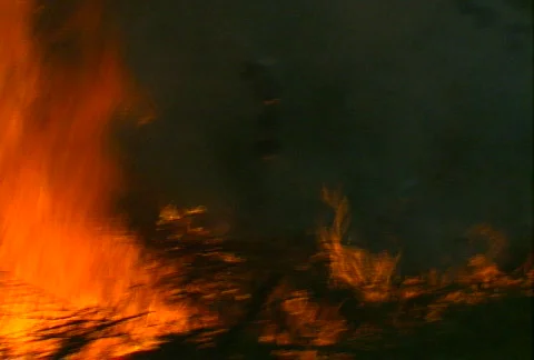 Flames 02 Video stock 505575