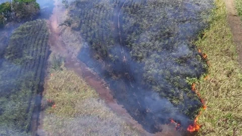 Flames Advancing Over Rural Fields From Above Stock Footage 307082761