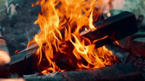Flames and Burning Firewood Stock Footage 302366835