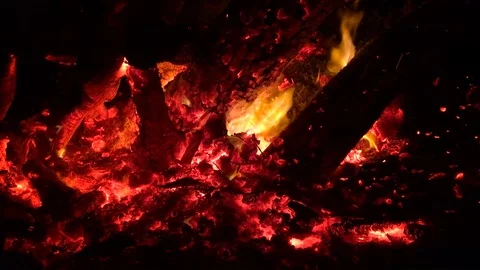 Flames and embers in a campfire Stock Footage 104528008
