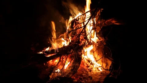 Flames and embers in a campfire Stock Footage 104933117