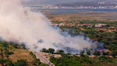 Flames and response vehicles at a roadside fire front near Olbia, Sardinia Stock Footage 345736891
