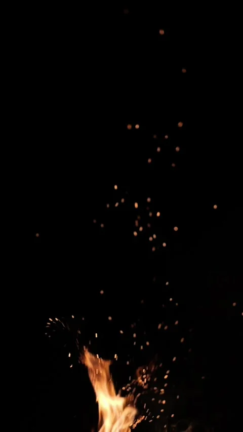 Flames and sparks from a fire fly upwards. Sparks from burning wood on a da.. Stock Footage 321541358