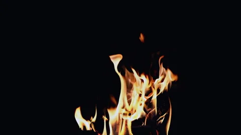 Flames Are Dancing Gracefully in the Darkness A Truly Captivating Fire Visual Stock Footage 295890985