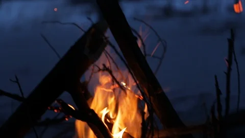 Flames are spreading on the dry branches. Stock Footage 123903323