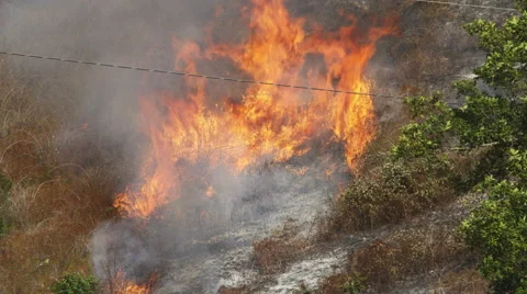 Flames around a patch of ashes quickly consume dry grass in their path Stock Footage 59161284