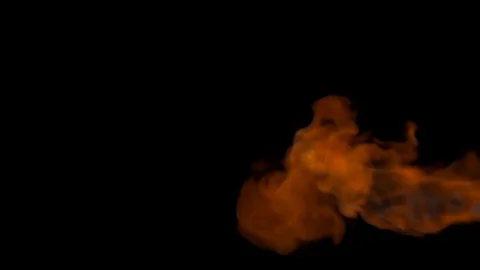 Flames on a black background Stock Footage 101015252