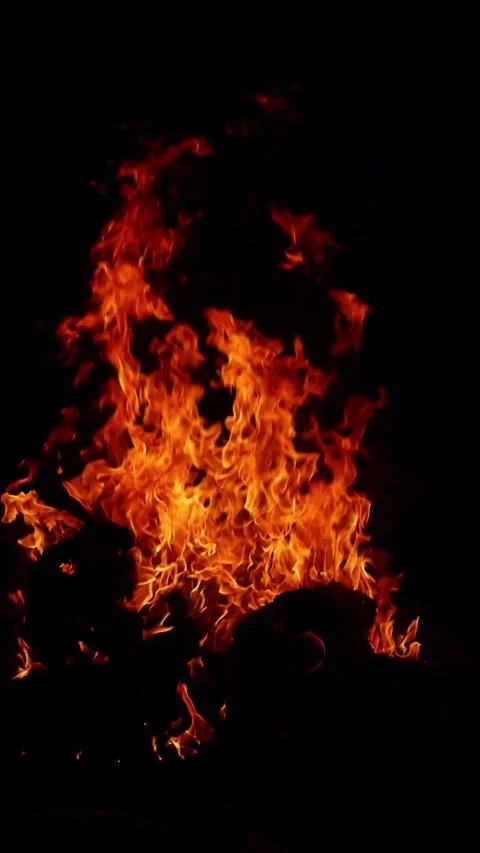 Flames blazing in the darkness of night Stock Footage 303200508