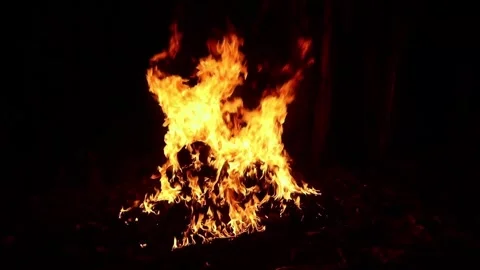 Flames blazing in the darkness of night Stock Footage 303200864