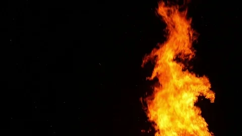 Flames of a bonfire. Stock Footage 77688052
