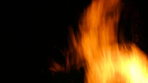 Flames of a bonfire. Stock Footage 77688261