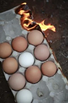 Flames box with chicken eggs Stock Photos