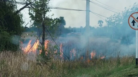 The flames of a brush fire approach a road side. Stock Footage 69719059