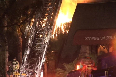 Flames From building Video stock 785917