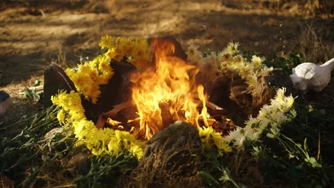 Flames burn inside a flower-lined stone circle during Mayan ritual in Guatemala Stock Footage 328624165