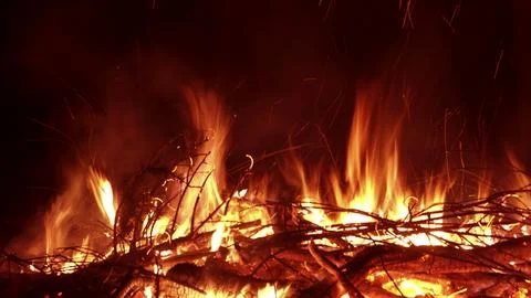 Flames burn logs, branches and twigs and light up the night with a reddish glow. Foto stock