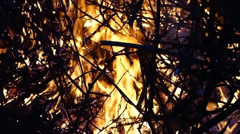 Flames burning in the bonfire Stock Footage 61746499