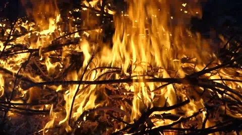 Flames burning in the bonfire Stock Footage 61746529
