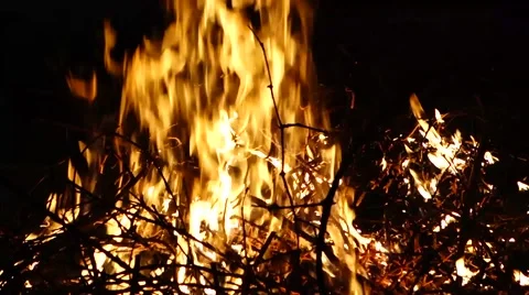 Flames burning in the bonfire Stock Footage 61746684