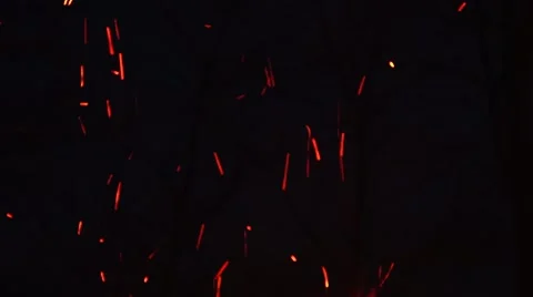 Flames burning in the bonfire Stock Footage 61746691