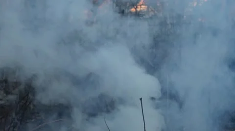 Flames burning in the bonfire Stock Footage 61746694