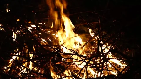 Flames burning in the bonfire Stock Footage 61746697